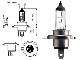 Amolux 785 - LAM.HAL.12V 100/80 H-4(P43T)