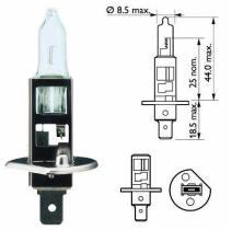 Amolux 788 - LAMPARA HALOGENA H-1 12V 55W