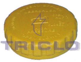  318240 - TAPON C.C.OPEL/SAAB