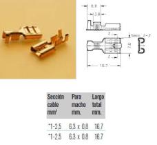  1464800 - TERMINAL CON GARRAS
