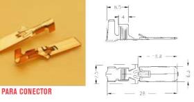 XB 1643200 - TERMINAL CON GARRAS