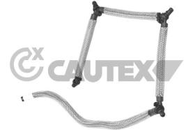 Cautex 031707